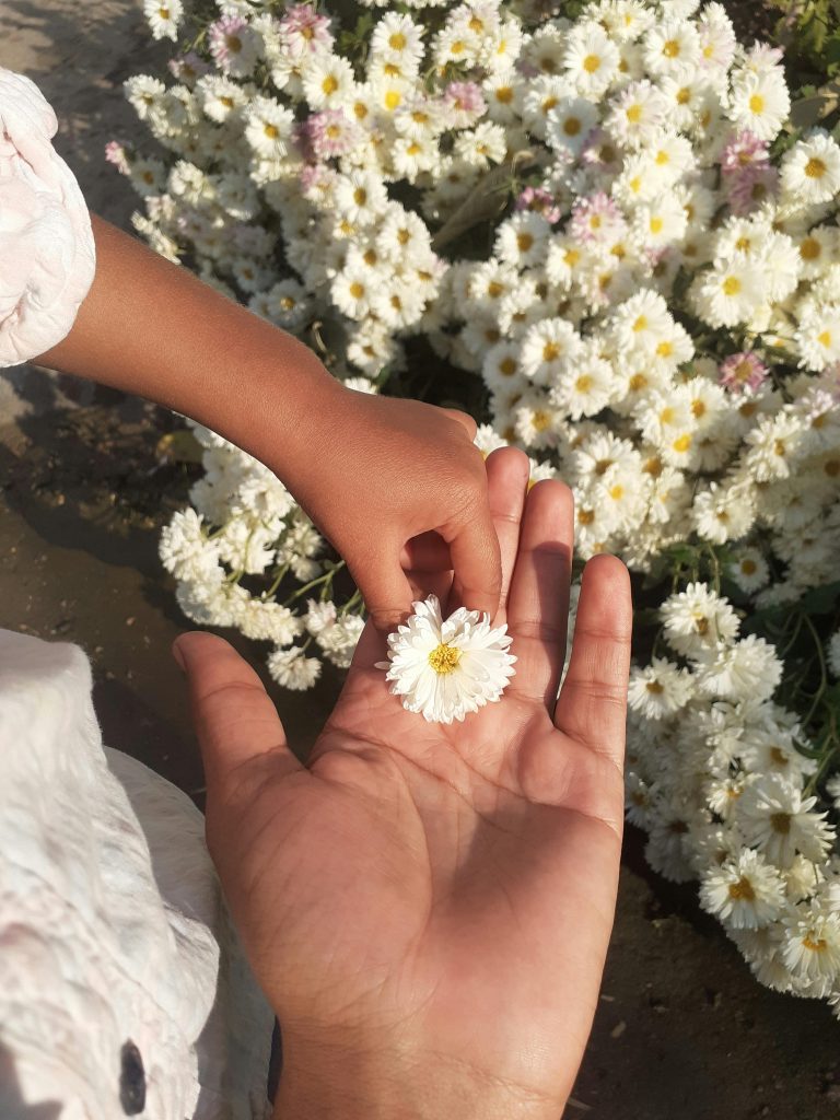 pexels yogendra banjare 2154628533 35458003