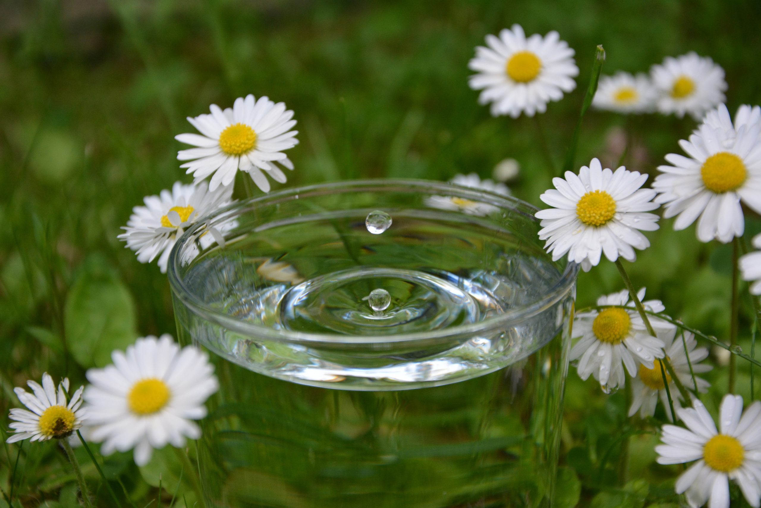Herzinstitut – Raum für Bewusstseinsarbeit & innere Balance water drop 4293618
